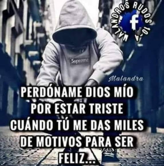 josemorales9620